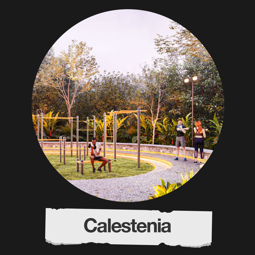 Calestenia