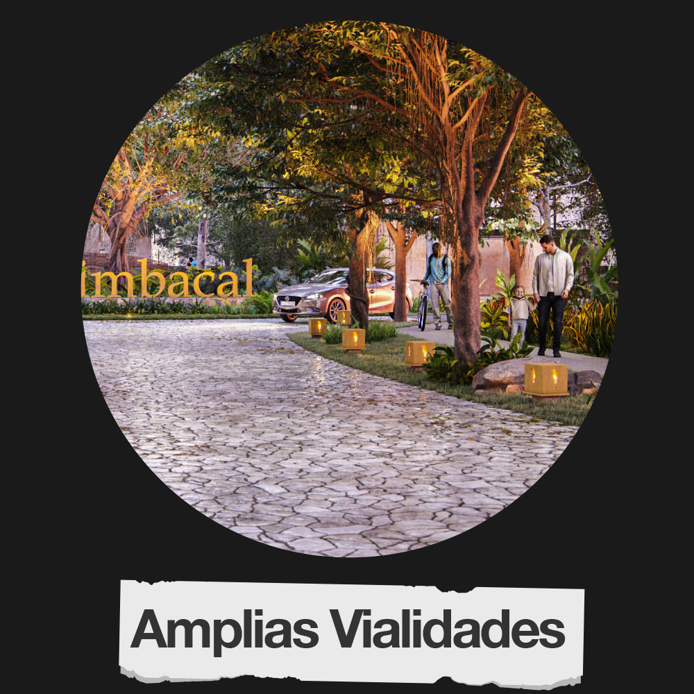 amplias-vialidades